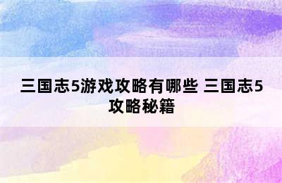 三国志5游戏攻略有哪些 三国志5攻略秘籍